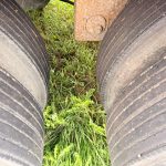 IMG_8796